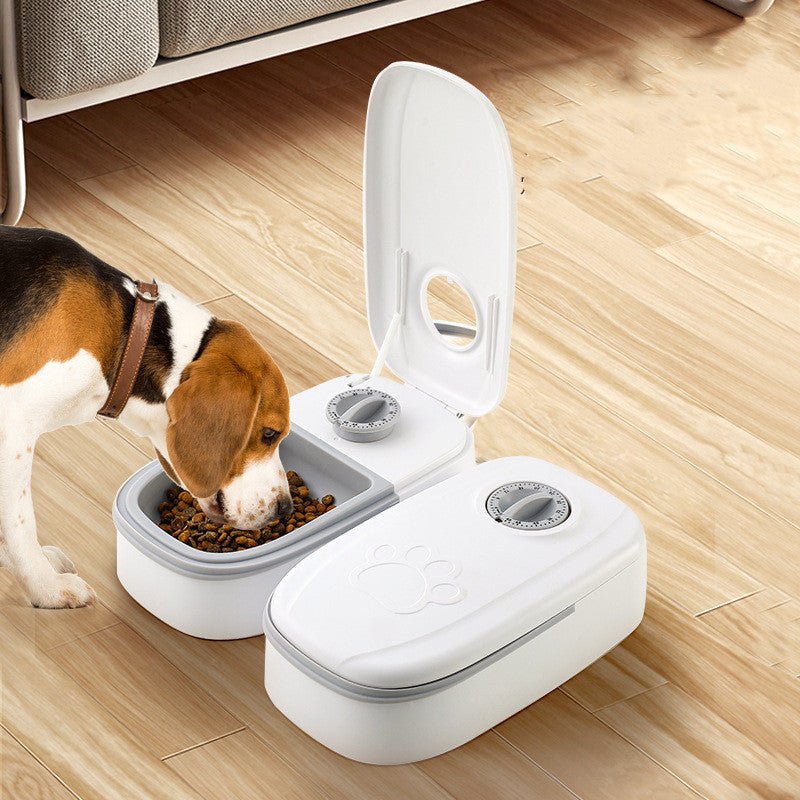 Alimentador automático inteligente para Pets. - Shopp Brasil