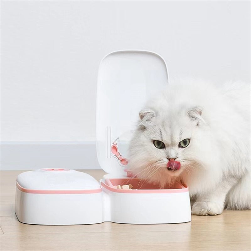 Alimentador automático inteligente para Pets. - Shopp Brasil