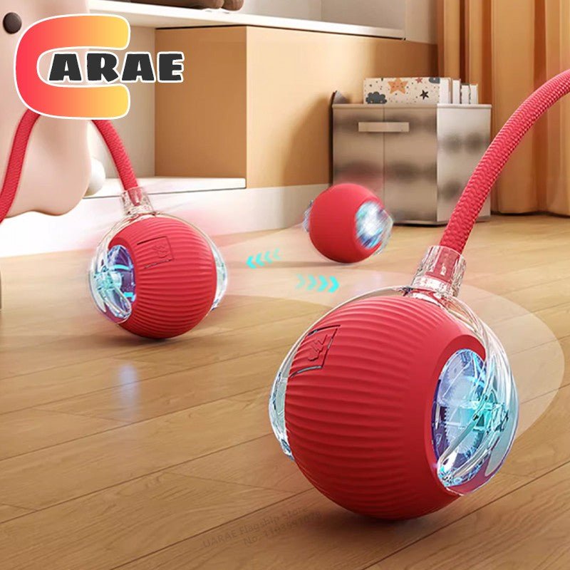 Brinquedo interativo para pet - Shopp Brasil