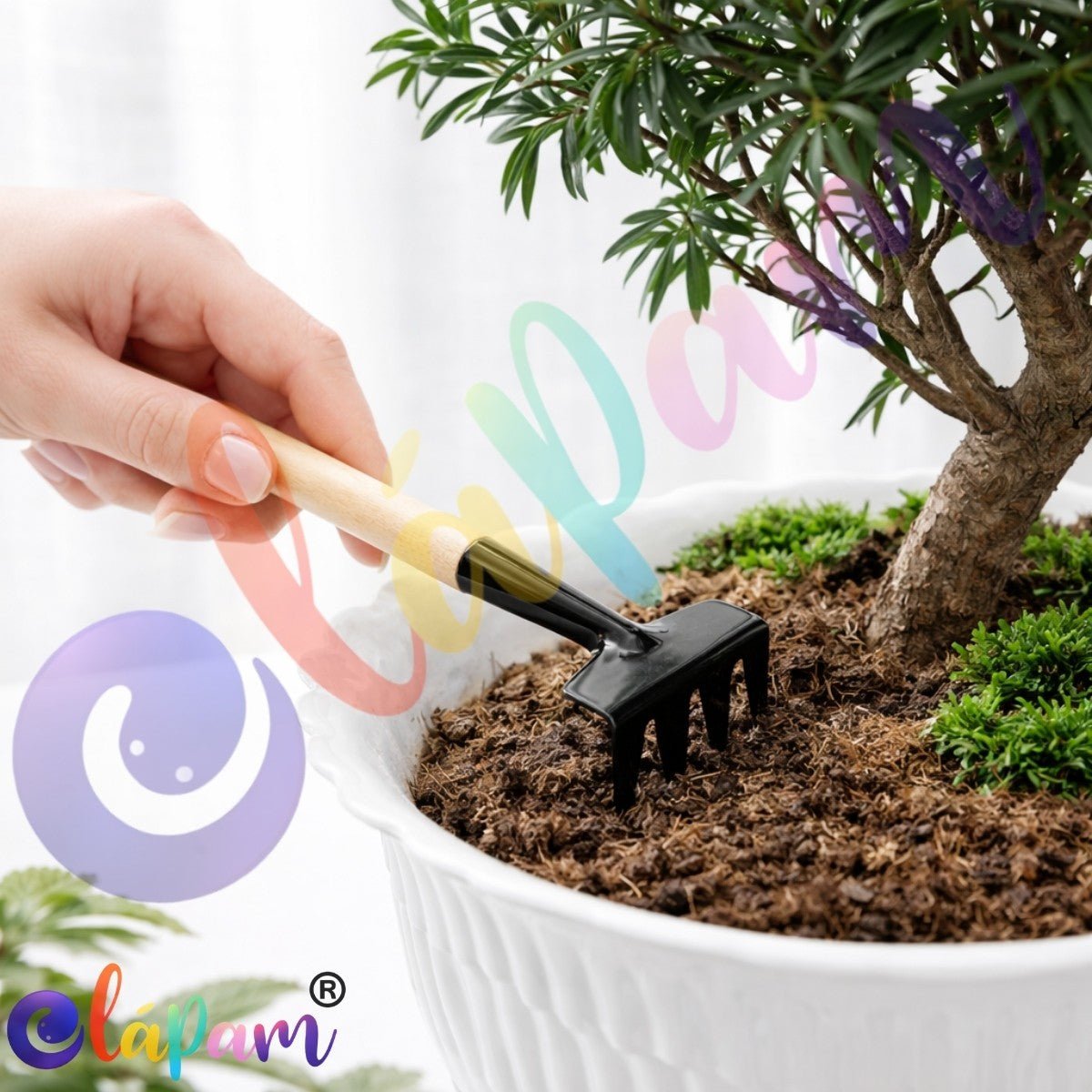Kit Ferramentas Jardinagem Bonsai 3 Peças Mini Pá Ancinho Transplantador. - Shopp Brasil