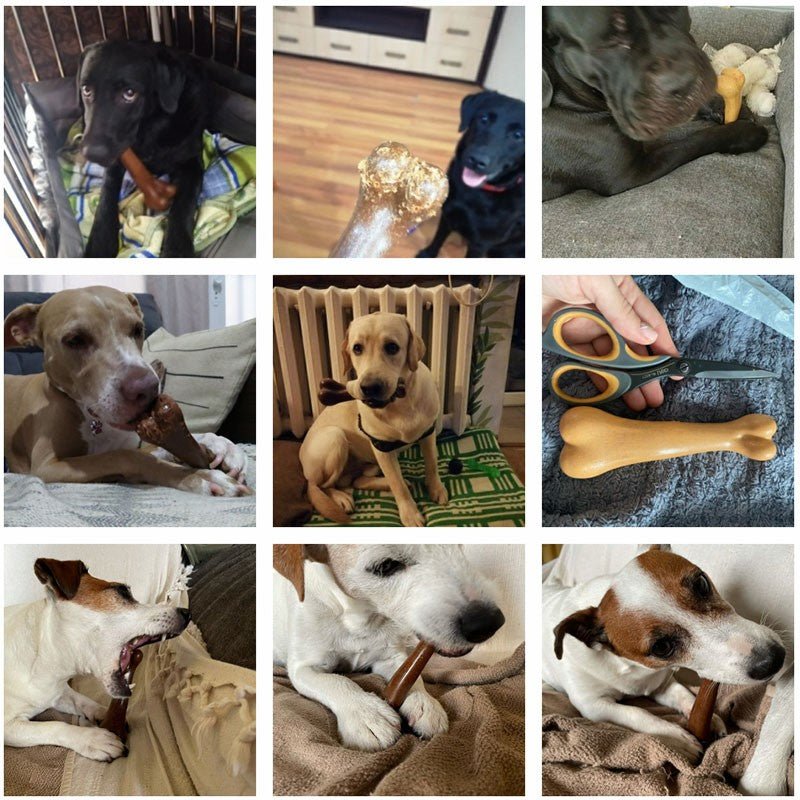 Osso para cachorro mastigável - Shopp Brasil